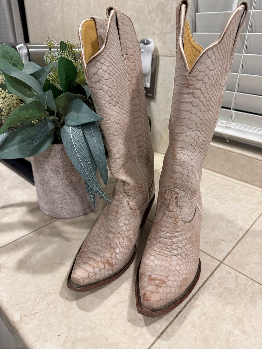 Idyllwind Exotic Python Snip Toe Western Boots